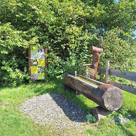 Fewo Allgaeuerle1605 Mit Hallenbad, Sauna, Tiefgarage Und Wlan Missen-Wilhams Exterior foto